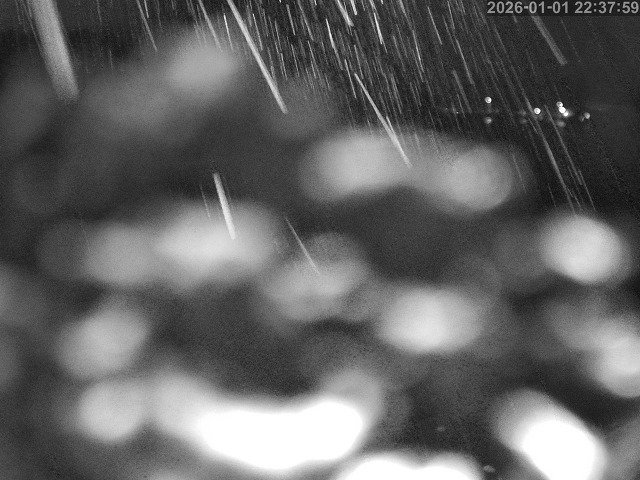 蒲生川１2026/01/02 7:00:00