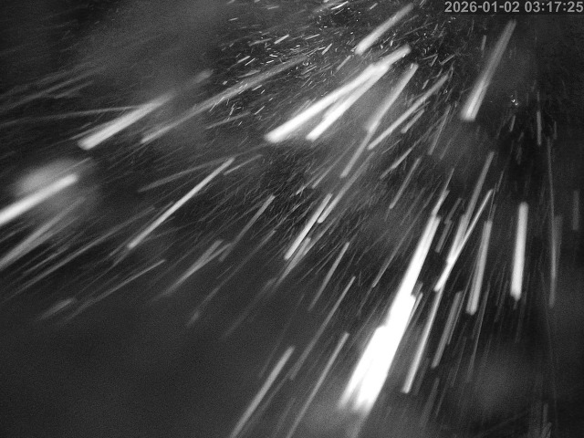 蒲生川１2026/01/02 7:00:00