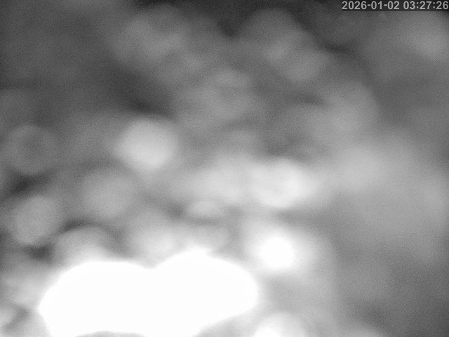 蒲生川１2026/01/02 7:00:00