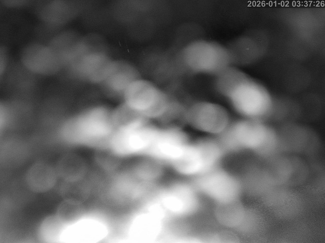 蒲生川１2026/01/02 7:00:00