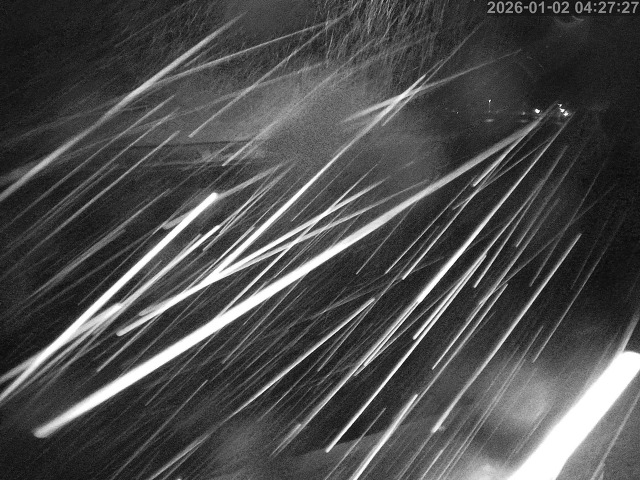 蒲生川１2026/01/02 7:00:00