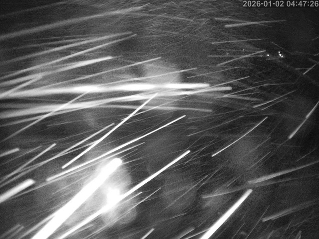 蒲生川１2026/01/02 7:00:00