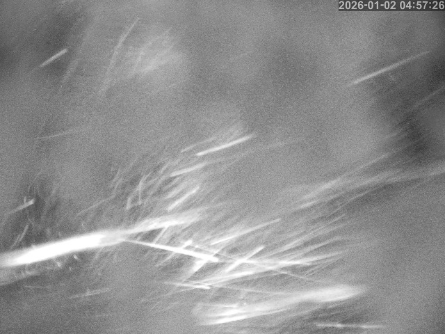 蒲生川１2026/01/02 7:00:00