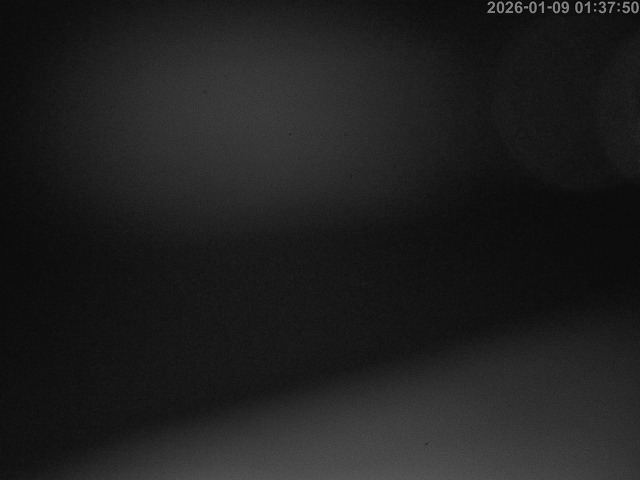 蒲生川１2026/01/09 13:10:00