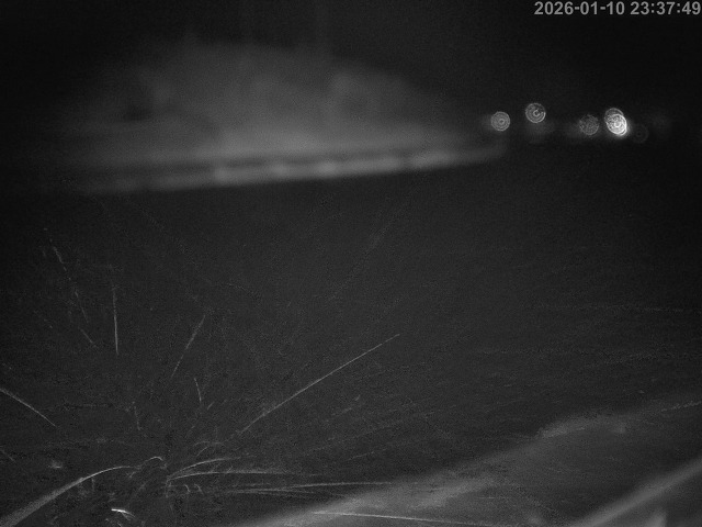 蒲生川１2026/01/11 6:10:00