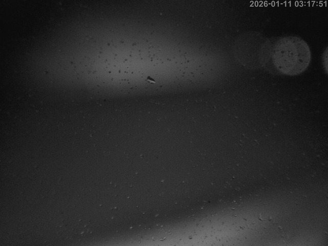 蒲生川１2026/01/11 6:10:00