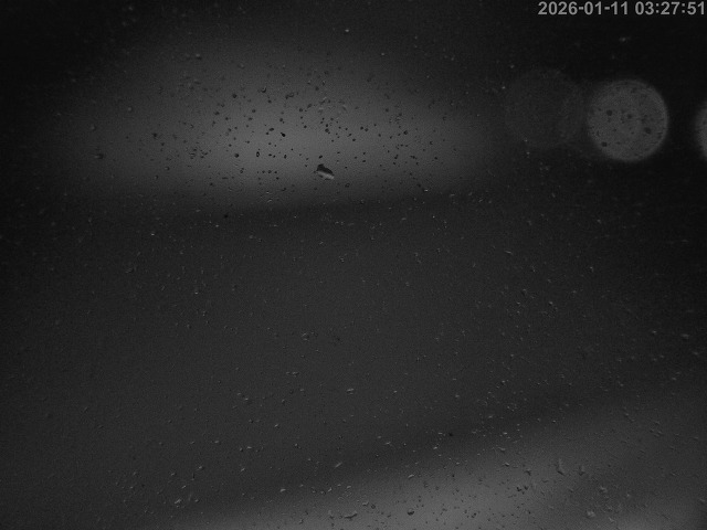 蒲生川１2026/01/11 6:10:00