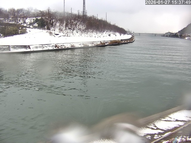 蒲生川１2026/01/28 7:20:00