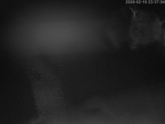 蒲生川１2026/02/11 7:30:00