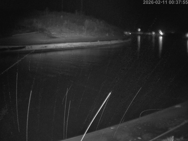 蒲生川１2026/02/11 7:30:00