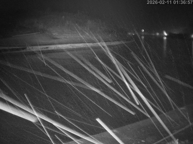 蒲生川１2026/02/11 7:30:00