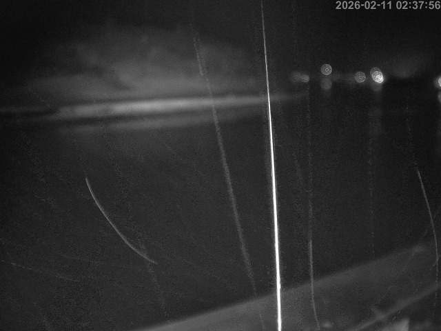 蒲生川１2026/02/11 7:30:00