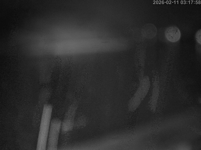 蒲生川１2026/02/11 7:30:00