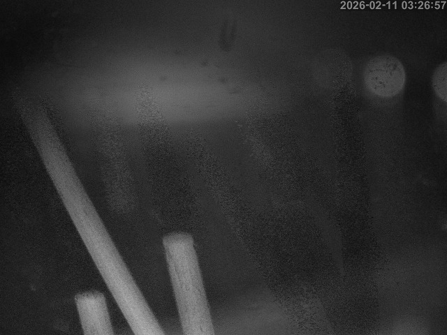 蒲生川１2026/02/11 7:30:00