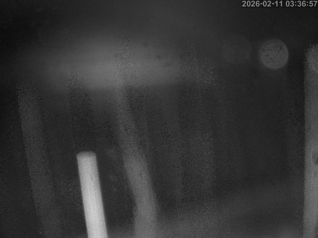 蒲生川１2026/02/11 7:30:00