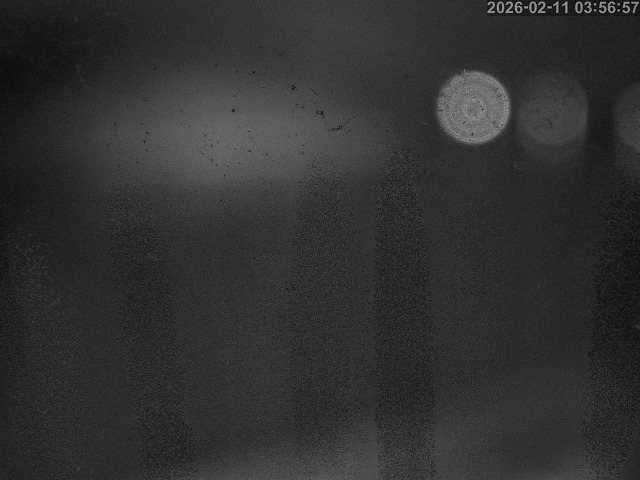 蒲生川１2026/02/11 7:30:00