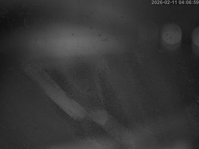 蒲生川１2026/02/11 7:30:00