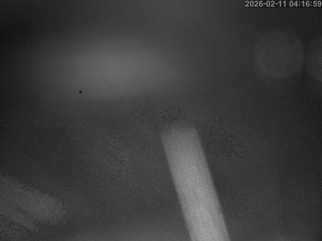 蒲生川１2026/02/11 7:30:00