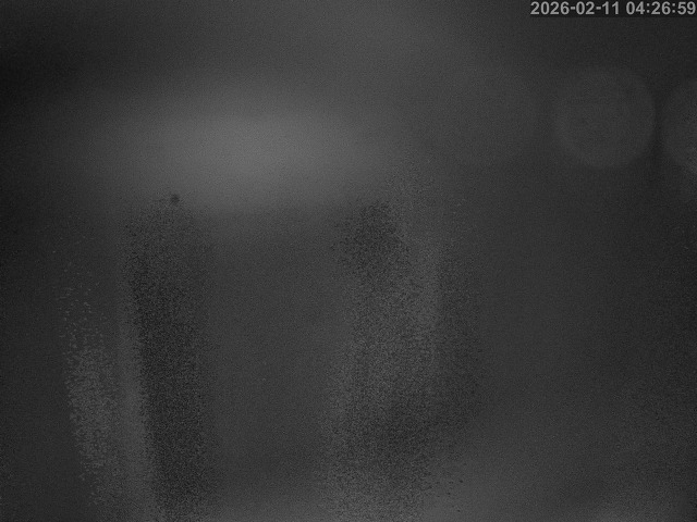 蒲生川１2026/02/11 7:30:00