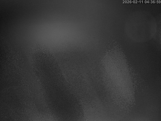 蒲生川１2026/02/11 7:30:00