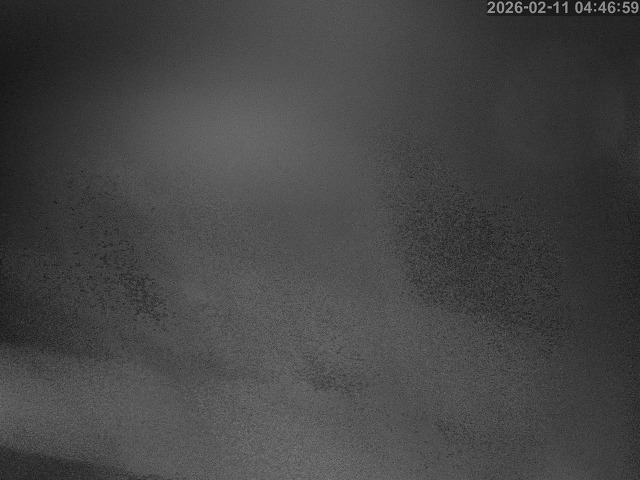 蒲生川１2026/02/11 7:30:00