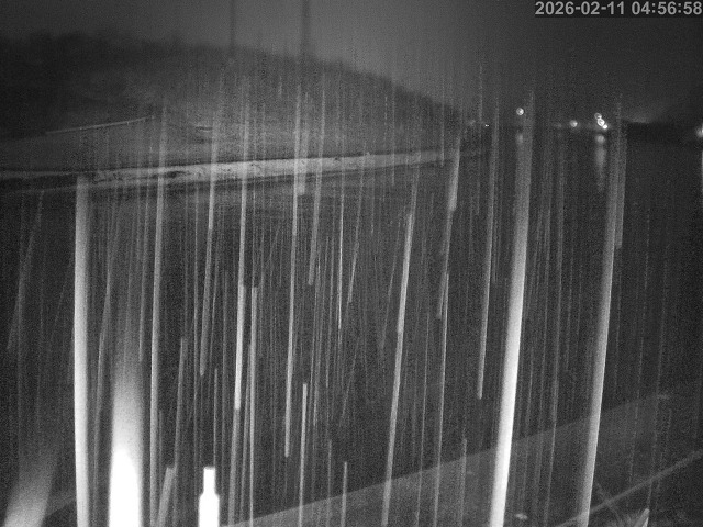 蒲生川１2026/02/11 7:30:00