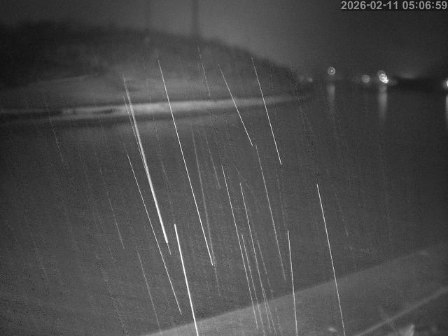 蒲生川１2026/02/11 7:30:00