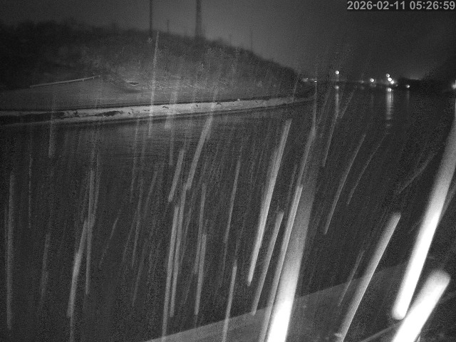 蒲生川１2026/02/11 7:30:00