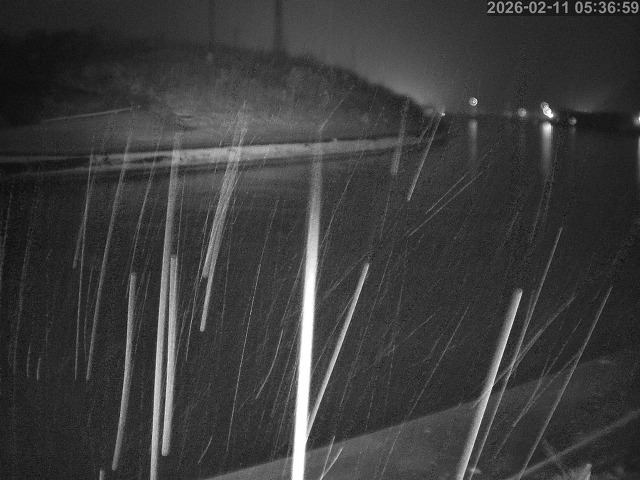 蒲生川１2026/02/11 7:30:00