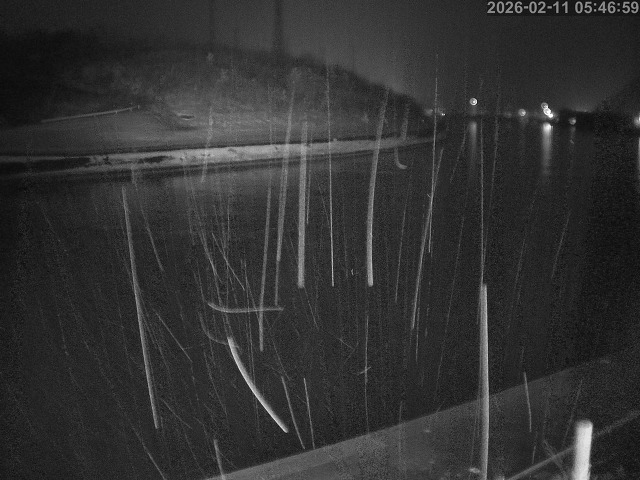 蒲生川１2026/02/11 7:30:00