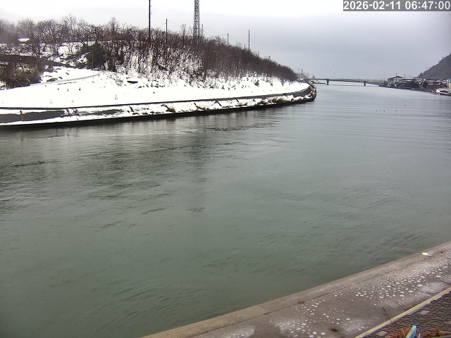 蒲生川１2026/02/11 7:30:00