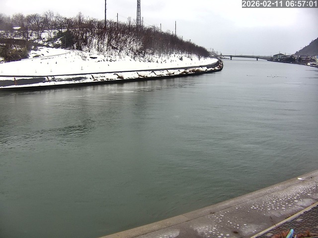 蒲生川１2026/02/11 7:30:00