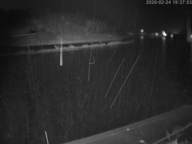 蒲生川１2026/02/25 2:30:00