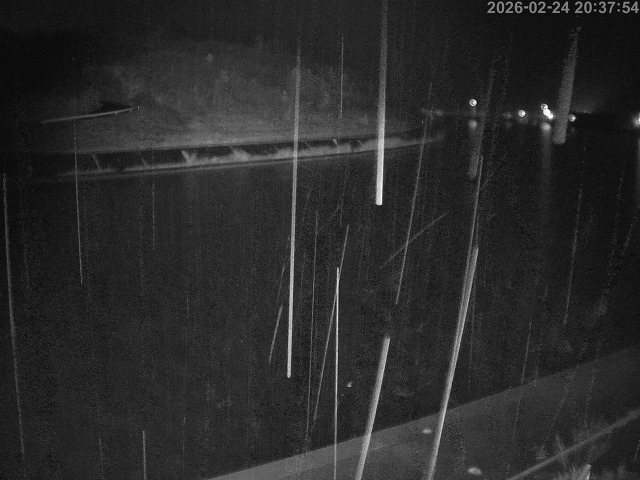 蒲生川１2026/02/25 2:30:00