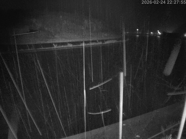 蒲生川１2026/02/25 2:30:00