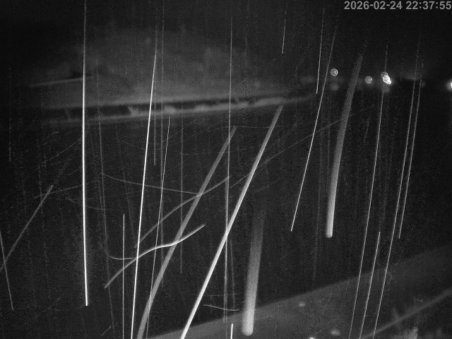 蒲生川１2026/02/25 2:30:00