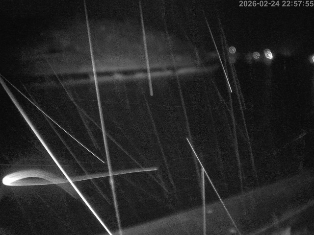 蒲生川１2026/02/25 2:30:00