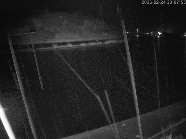 蒲生川１2026/02/25 2:30:00