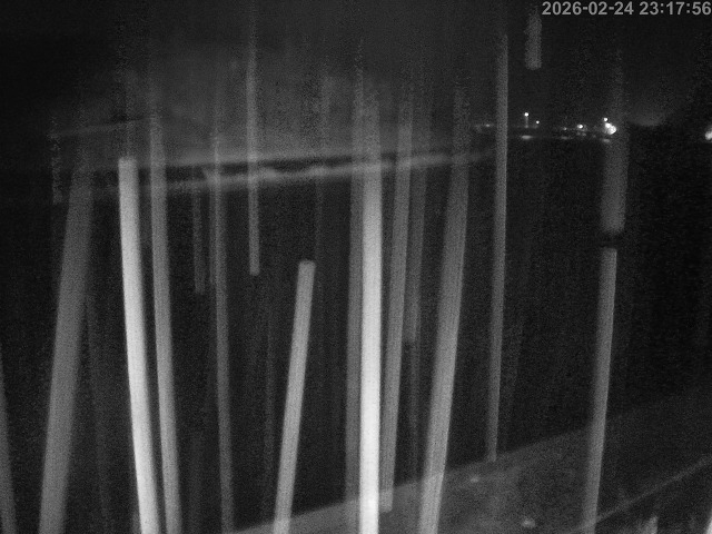 蒲生川１2026/02/25 2:30:00