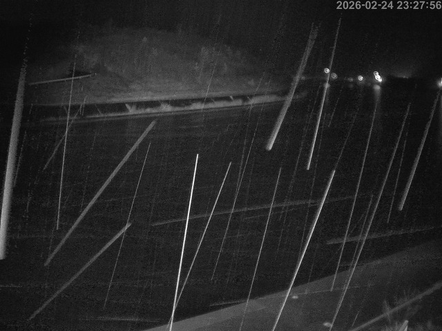 蒲生川１2026/02/25 2:30:00