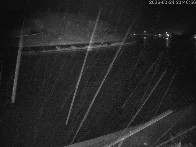 蒲生川１2026/02/25 2:30:00