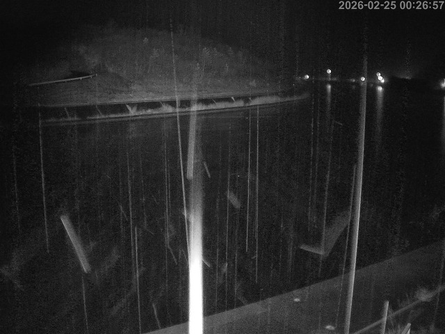 蒲生川１2026/02/25 2:30:00