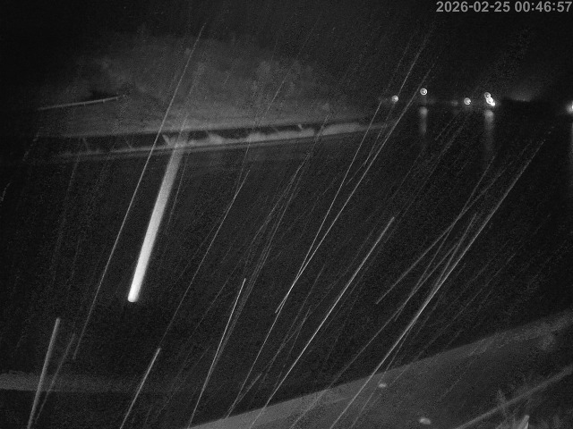 蒲生川１2026/02/25 2:30:00