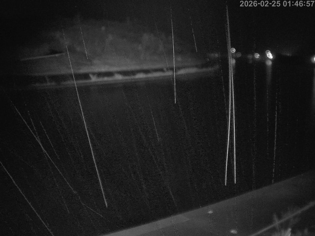 蒲生川１2026/02/25 2:30:00