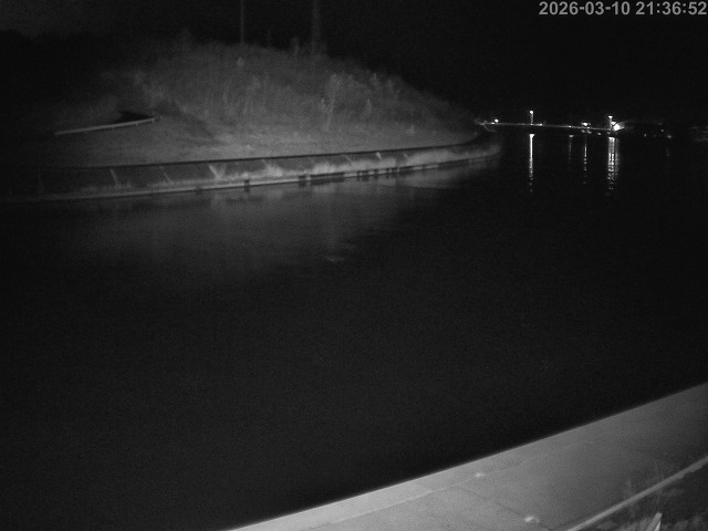 蒲生川１2026/03/11 9:20:00