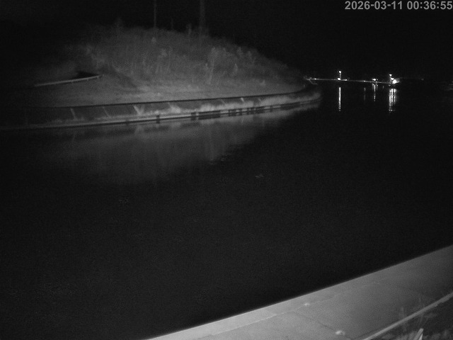 蒲生川１2026/03/11 9:20:00