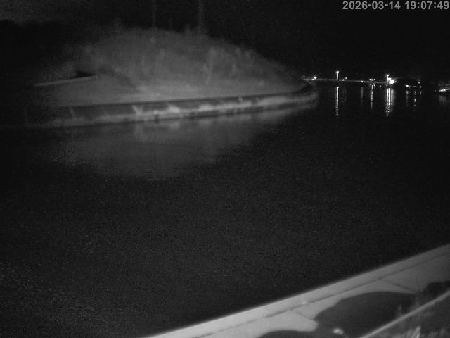 蒲生川１2026/03/14 19:50:00