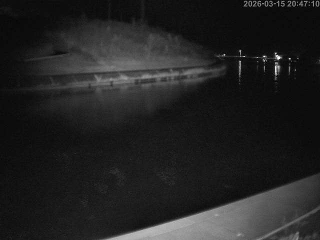 蒲生川１2026/03/15 21:50:00