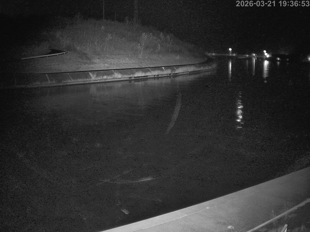 蒲生川１2026/03/22 6:30:00