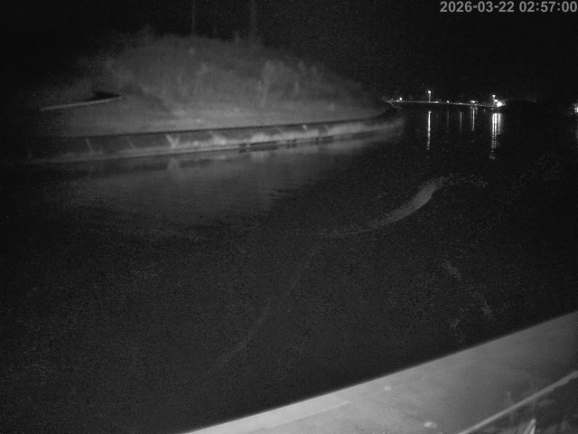 蒲生川１2026/03/22 6:30:00